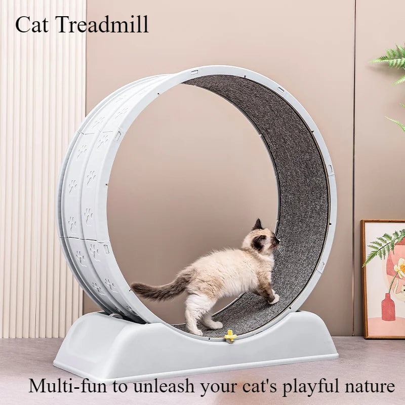 Cat Treadmill Wheel – Ultra-Quiet, Easy Assembly, Removable Carpet